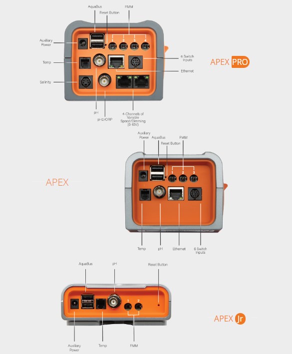 3 nuovi controller per acquario da APEX adatti per tutte le tasche: le prese disponibili