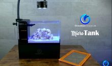 MicroTank: gli spettacolari mini acquari AIO di Oceanbox Designs
