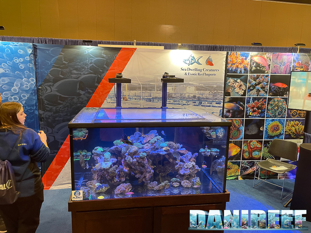 Lo stand Sea Dwelling Creatures & Exotic Reef Imports al Macna 2022