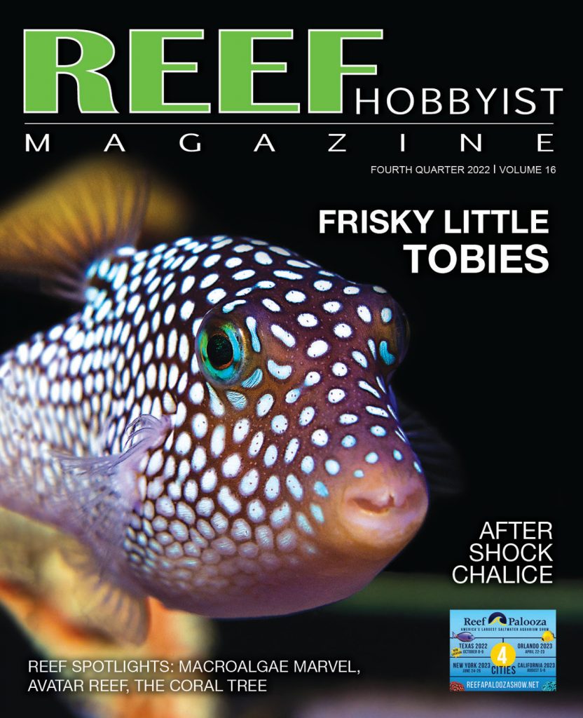Reef Hobbyist Magazine quarto trimestre 2022 - disponibile gratis
