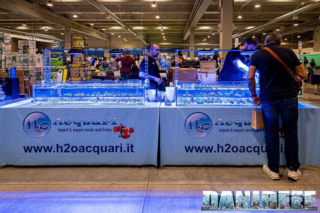 H2O Acquari Roma ed i suoi coralli al PetsFestival 2022