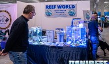 L’associazione Reef World si presenta con una video intervista