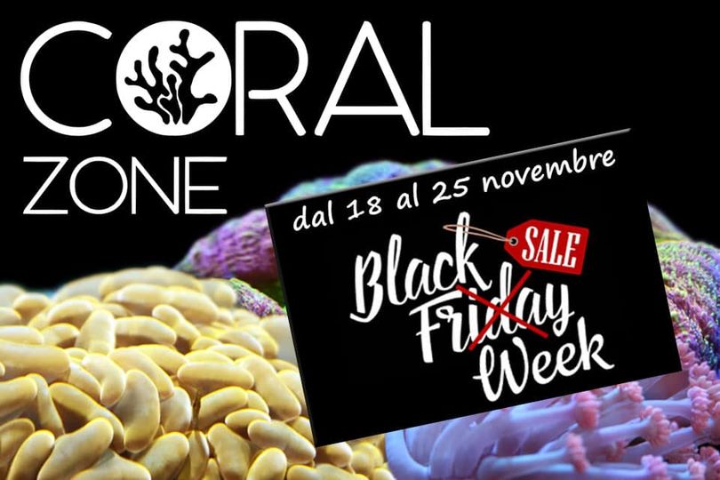 Offerte Coral Zone Black Friday 2022