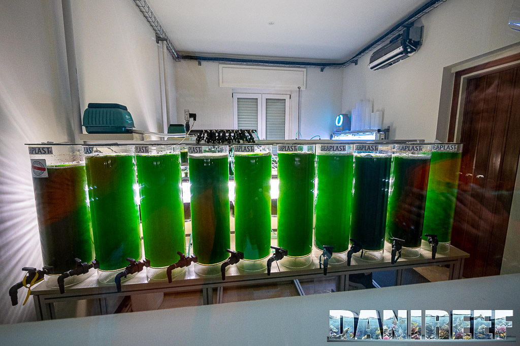 PlanctonTech tour - a pure spectacle into the Phytoplankton world