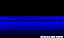 Barre a LED ASF Proten Led Reef Blue nel DaniReef LAB recensione