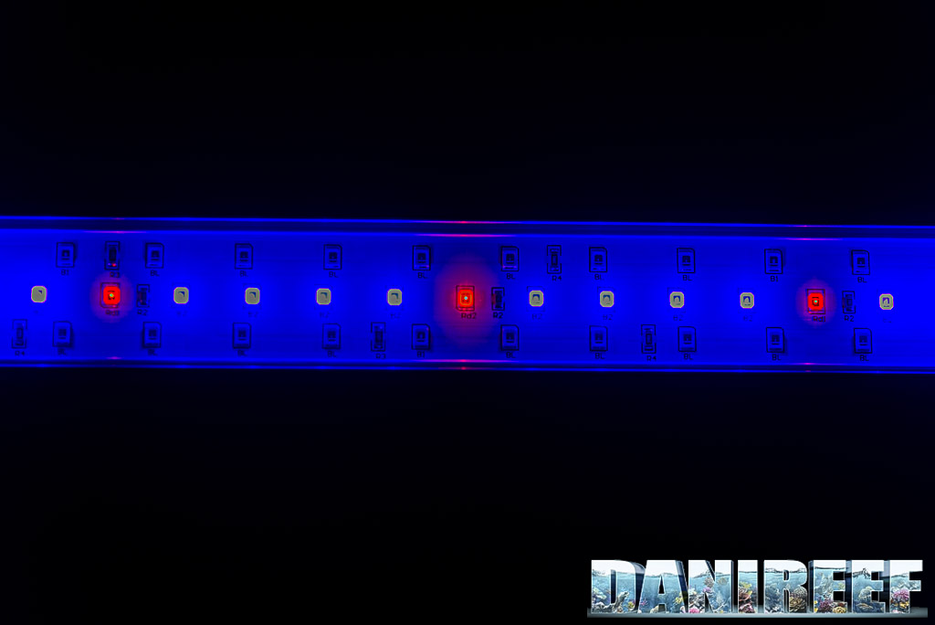 I LED della plafoniera ASF Proten LED Reef Blue 90-120 cm: canale 2