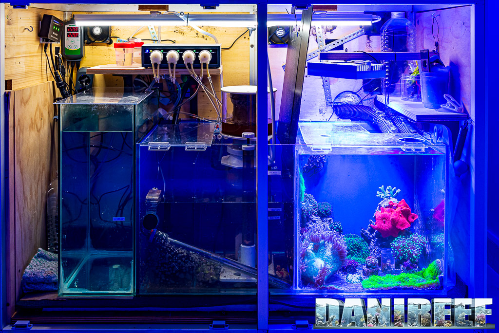 Sump and refugium aquarium