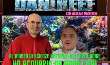 L’acquario marino da 5000 litri del museo di scienze naturali a Bolzano e le meduse