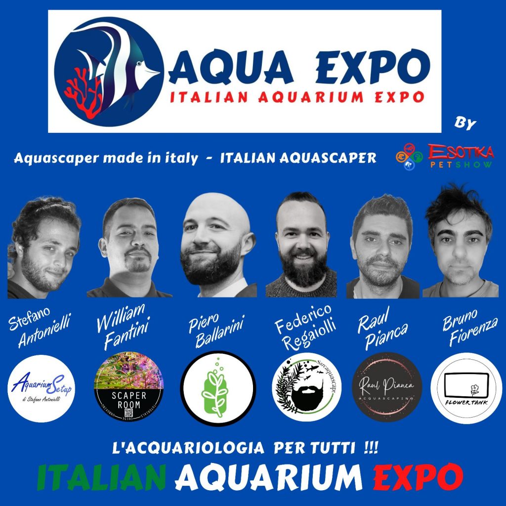 AquaExpo: 25-26 marzo torna a Novegro (Mi) la fiera degli acquari - aquascaping in allestimento