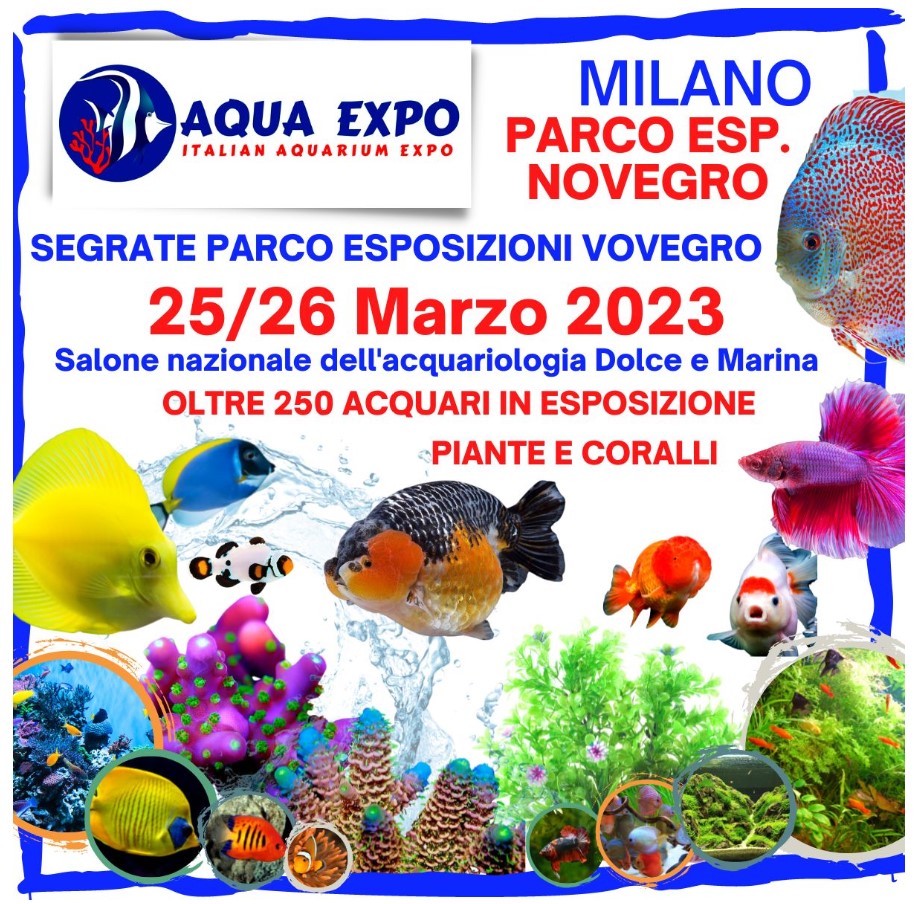AquaExpo: 25-26 marzo torna a Novegro (Mi) la fiera degli acquari