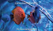 Il nuovo catalogo di Aquaristica, scopriamolo meglio insieme