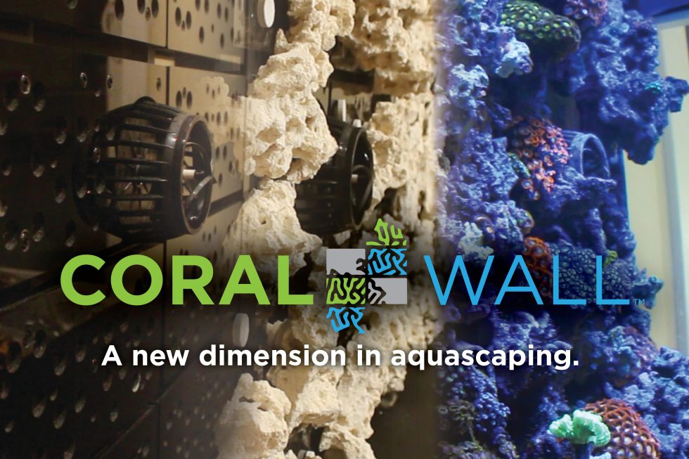 CoralWall rivoluziona il lato posteriore degli acquari marini