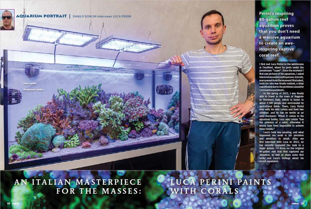 4. Lo spettacolare acquario di SPS di Luca Perini su Coral Magazine