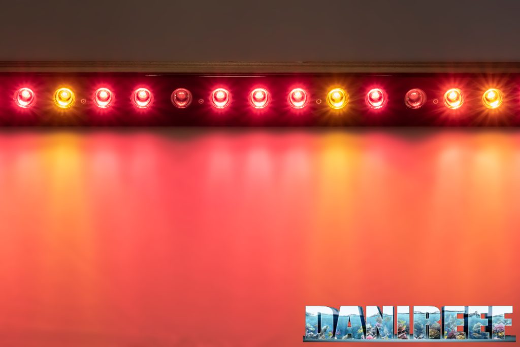 Le nuove barre a LED Orphek OR3 Red Plus Grow/Refugium nel DaniReef LAB - luci accese