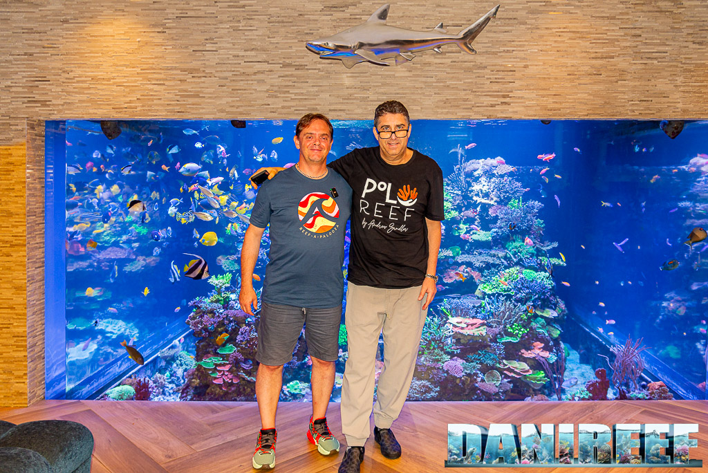 Polo Reef: abbiamo visitato l'acquario marino più bello del mondo: DaniReef ed Andrew Sandler