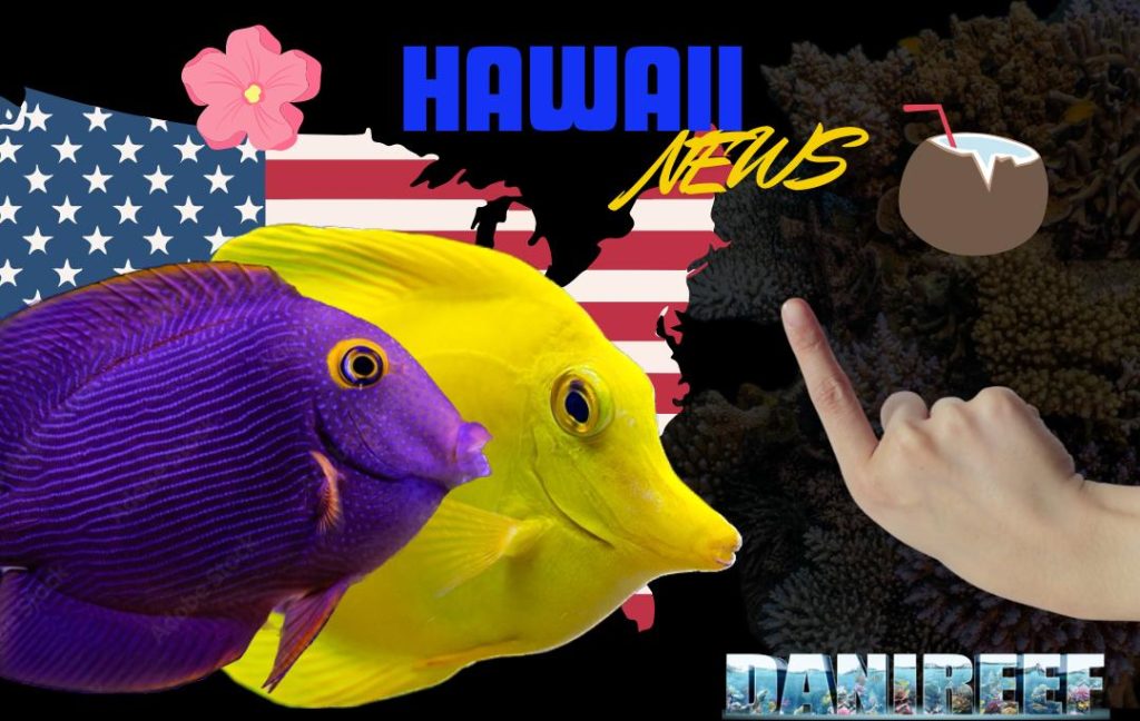 Novità per  i Pesci Hawaiani: Una Battaglia per la Sostenibilità