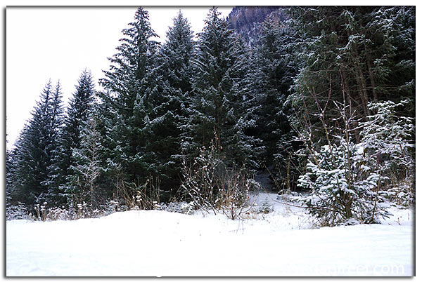 Foto di Canazei: paesaggio montano con neve