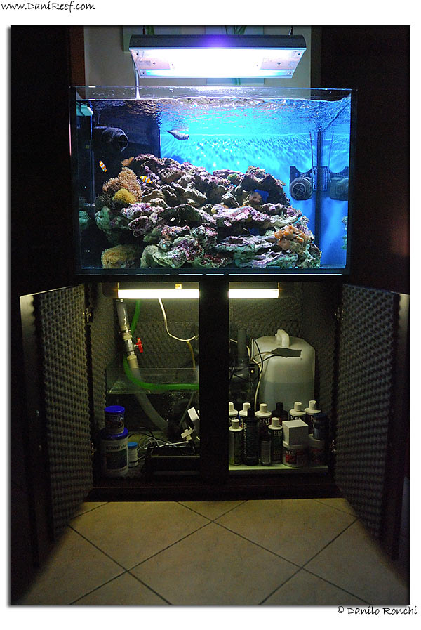 AndreaRoss Tank