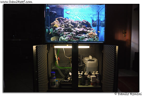 AndreaRoss Tank