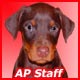 Marco AP