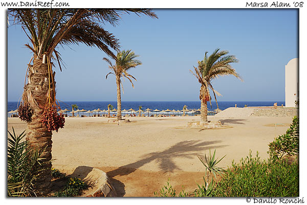 Holiday Beach Resort Beach Marsa Alam Red Sea