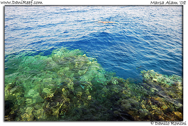 La barriera dal pontile a Marsa Alam