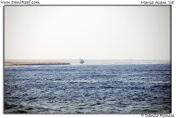 Holiday Beach Resort Beach Marsa Alam Red Sea