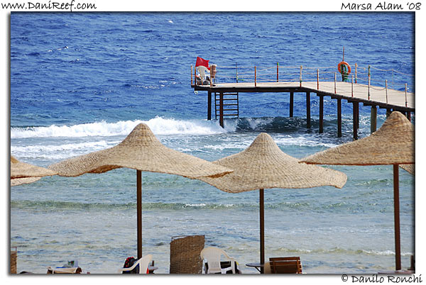 Holiday Beach Resort Beach Marsa Alam Red Sea