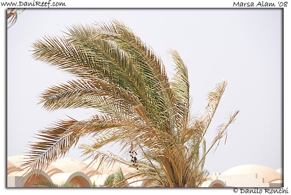 Holiday Beach Resort