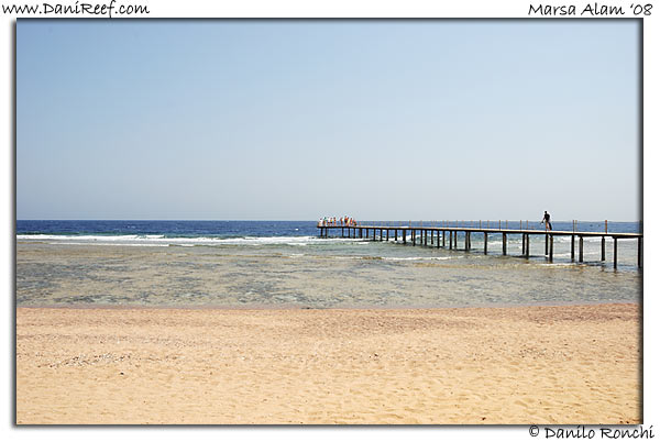 Holiday Beach Resort Beach Marsa Alam Red Sea