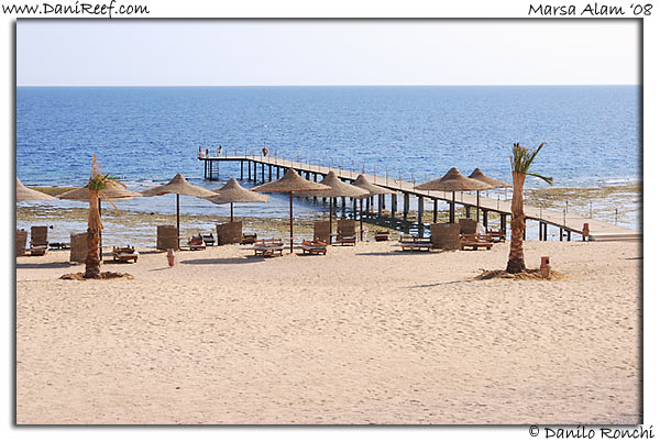 Holiday Beach Resort Beach Marsa Alam Red Sea