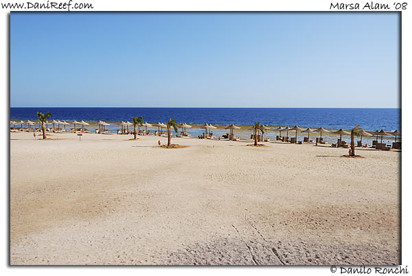 Holiday Beach Resort Beach Marsa Alam Red Sea