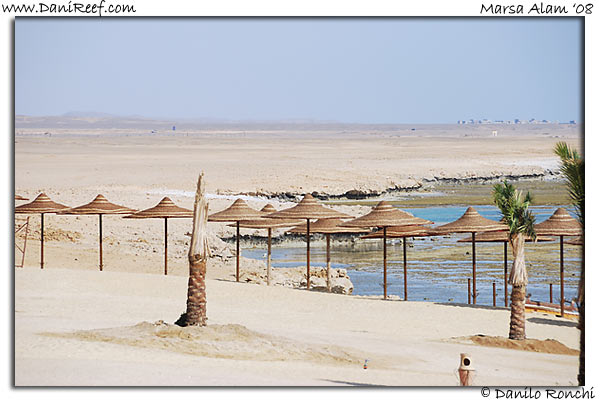 Holiday Beach Resort Beach Marsa Alam Red Sea