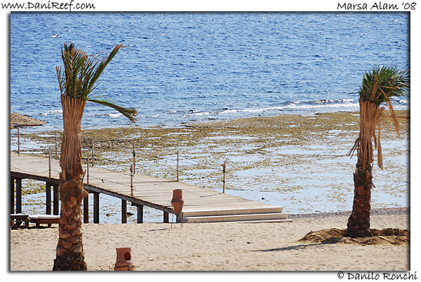 Holiday Beach Resort Beach Marsa Alam Red Sea