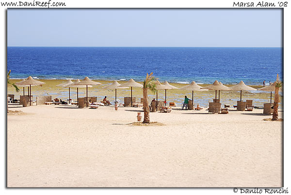 Holiday Beach Resort Beach Marsa Alam Red Sea