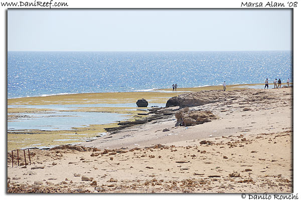 Holiday Beach Resort Beach Marsa Alam Red Sea