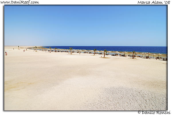 Holiday Beach Resort Beach Marsa Alam Red Sea