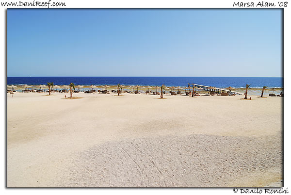 Holiday Beach Resort Beach Marsa Alam Red Sea