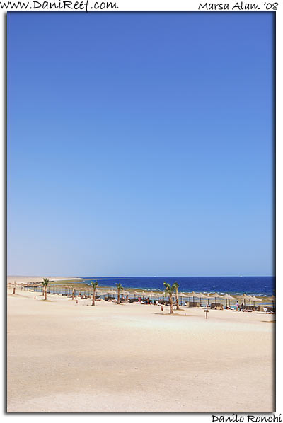Holiday Beach Resort Beach Marsa Alam Red Sea
