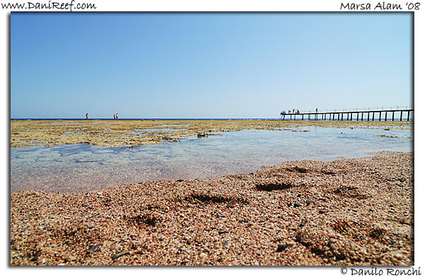 Holiday Beach Resort Beach Marsa Alam Red Sea