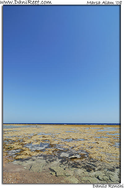 Holiday Beach Resort Beach Marsa Alam Red Sea