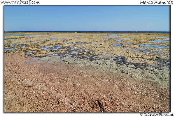 Holiday Beach Resort Beach Marsa Alam Red Sea