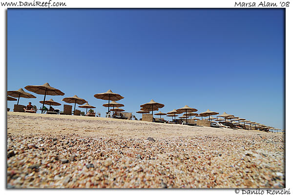 Holiday Beach Resort Beach Marsa Alam Red Sea