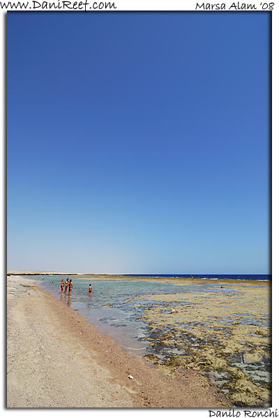 Holiday Beach Resort Beach Marsa Alam Red Sea