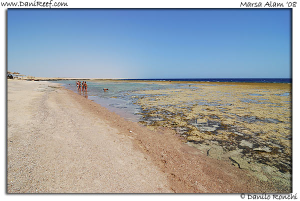Holiday Beach Resort Beach Marsa Alam Red Sea