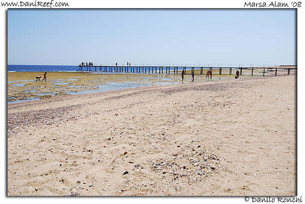Holiday Beach Resort Beach Marsa Alam Red Sea
