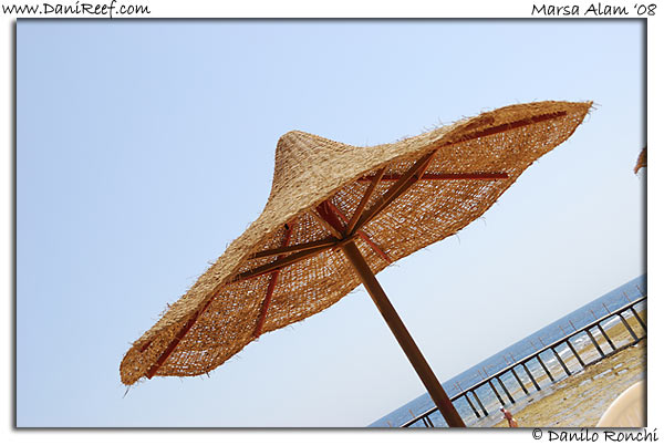 Holiday Beach Resort Beach Marsa Alam Red Sea