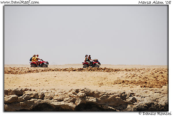 Quad
