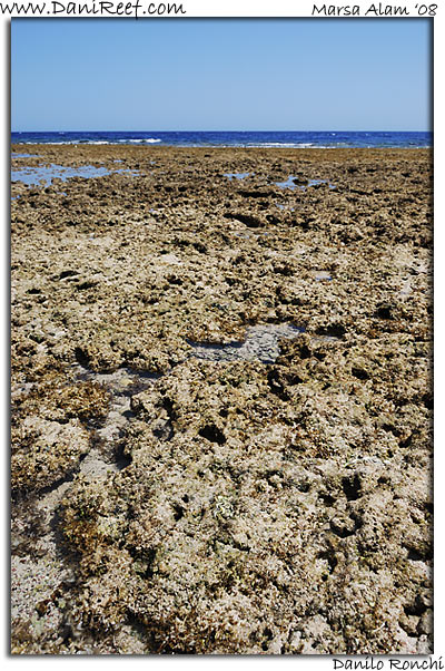 Holiday Beach Resort Beach Marsa Alam Red Sea