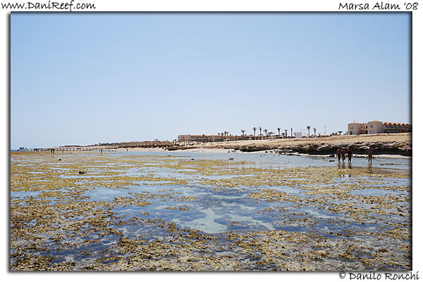 Holiday Beach Resort Beach Marsa Alam Red Sea